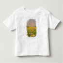 Search for spectacular tshirts Sunrise