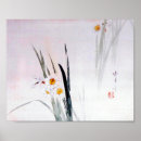 Search for narcissus posters Flower