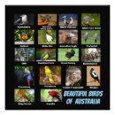 Search for australia art Colourful