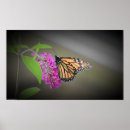 Search for pollination art Pollinator