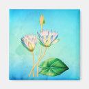 Search for lotus magnets Vintage