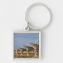 Search for very key rings Usa