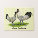 Search for chicken egg puzzles Rooster