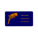 Search for dolphins return address labels Fish