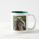 Search for two owls mugs Photography