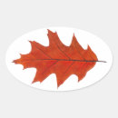 Search for oak trees stickers Autumn