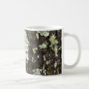 Search for mossy mugs Forest