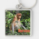 Search for borneo key rings Nature