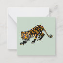 Search for bigcats Tiger