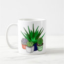 Search for aloe mugs Aloe vera plant