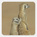 Search for cooperation stickers Assistance