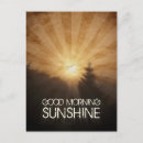 Search for morning postcards Friendship