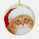 Search for long haired cat christmas tree decorations Orange