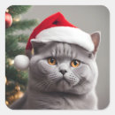 Search for santa hat christmas stickers Kitten