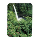 Search for costa rica magnets Landscape