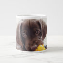 Search for duck mugs Animal