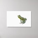 Search for darts canvas prints Looking at camera