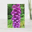 Search for foxgloves cards Purple