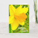 Search for daffodil easter cards Flowers