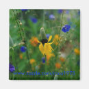 Search for coneflower magnets Flora