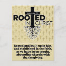 Search for colossians Rooted in christ