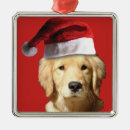 Search for golden retriever christmas tree decorations Santa claus