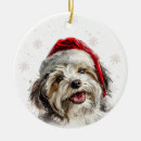 Search for havanese christmas tree decorations Cute
