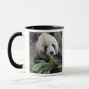 Search for china panda mugs Zoo