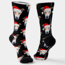 Search for christmas socks Cat