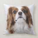 Search for fluffy dog cushions Animals