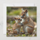 Search for bonded Wildlife