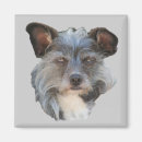 Search for dog breed magnets Mutt