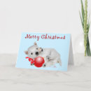 Search for westie christmas cards Dogs