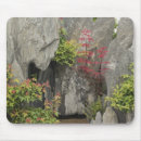 Search for bonsai electronics Asia