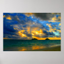 Search for ray photography Tropical
