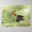 Search for gratefulness posters Butterfly