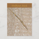 Search for stick postcards Insect