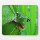 Search for frog mousepads Green tree frog