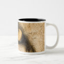 Search for kruger national park mugs Outdoors