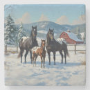 Search for appaloosas barware Snow