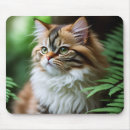 Search for persian mousepads Cat