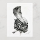 Search for skull illustration postcards Black and white