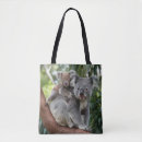 Search for koala bags Baby