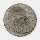 Search for snake photography Rattlesnake