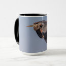 Search for blue heron mugs Wildlife