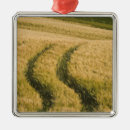 Search for landscape christmas tree decorations Farm