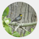 Search for audubon stickers Nature