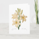 Search for lilium cards Floral