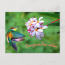 Search for colourful bee postcards Beautiful