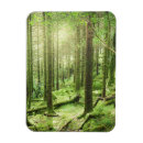 Search for national park magnets Landscape